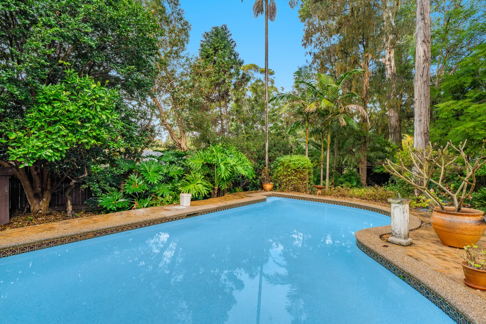 House in Beecroft - More