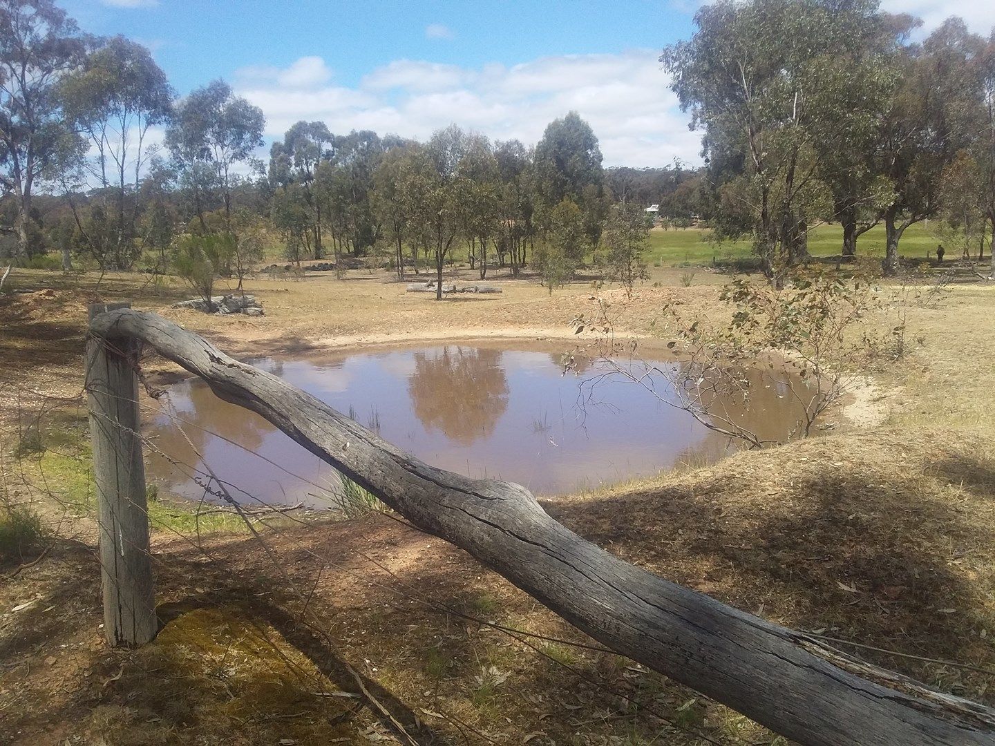 CA6 Sec11 Sporting Flat Road, Dunolly VIC 3472, Image 0