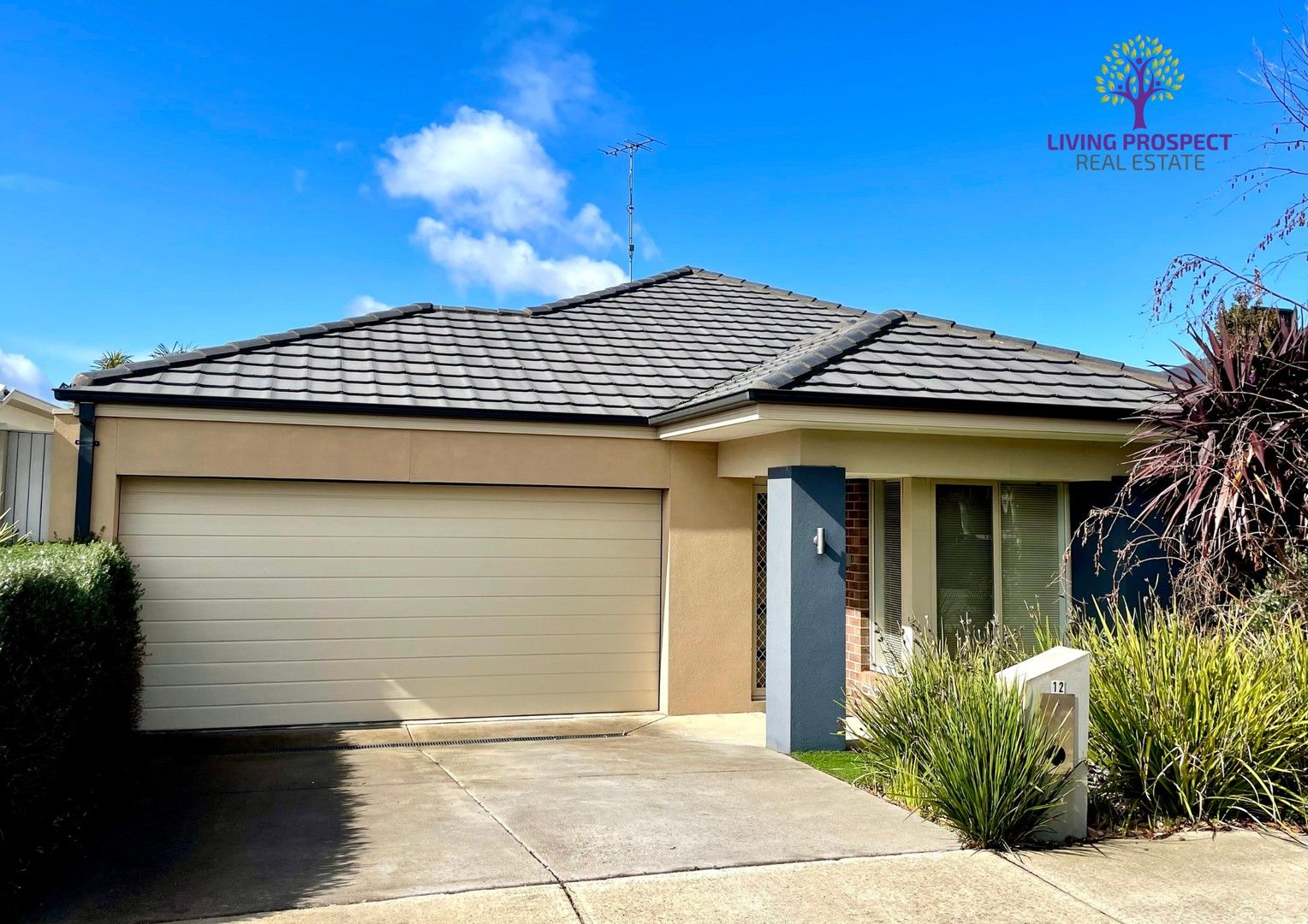 4 bedrooms House in 12 You Yangs Avenue CURLEWIS VIC, 3222