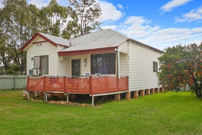 Picture of 78 Goran Street, CURLEWIS NSW 2381