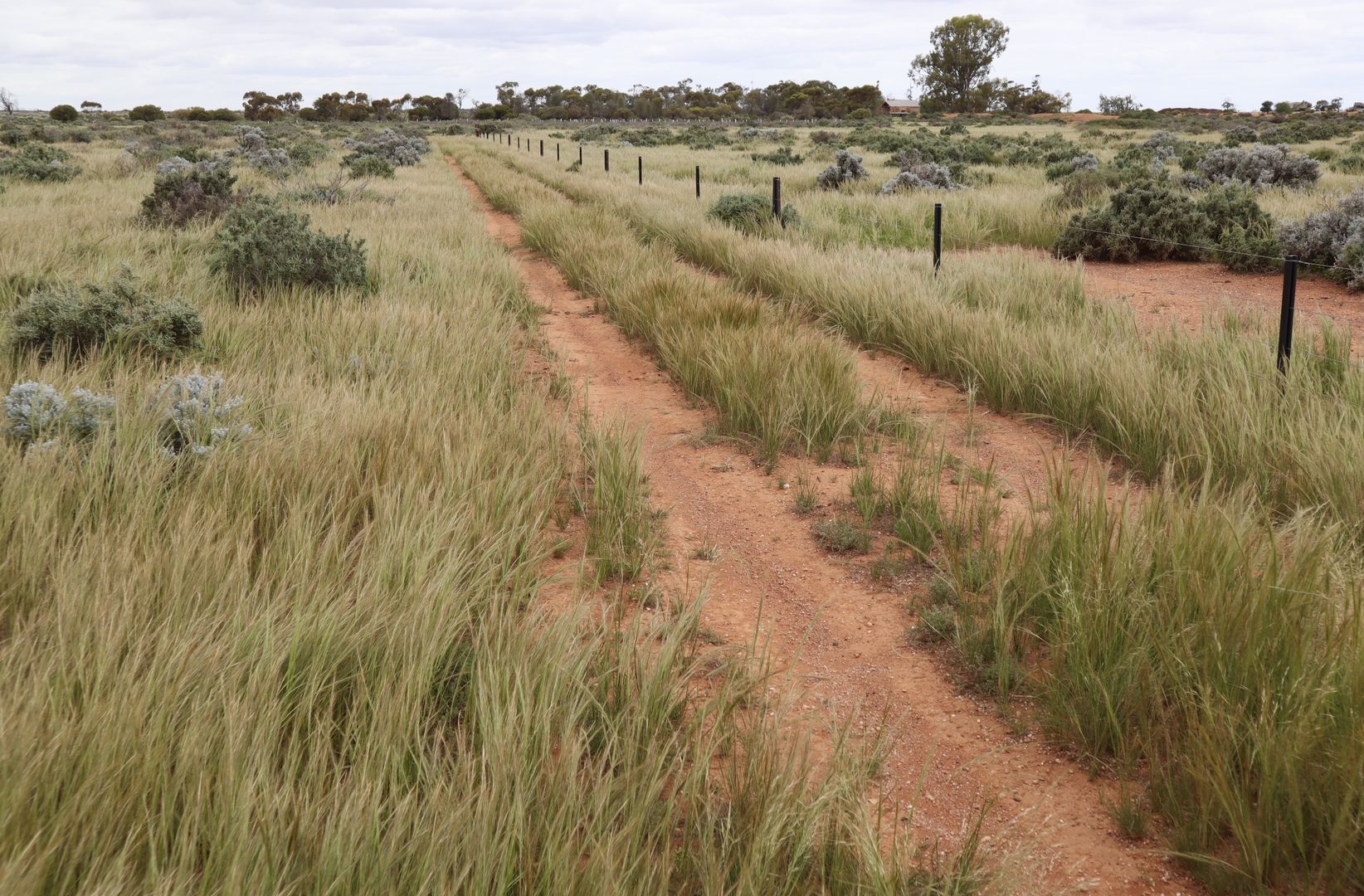 Balah Road, Burra SA 5417, Image 1