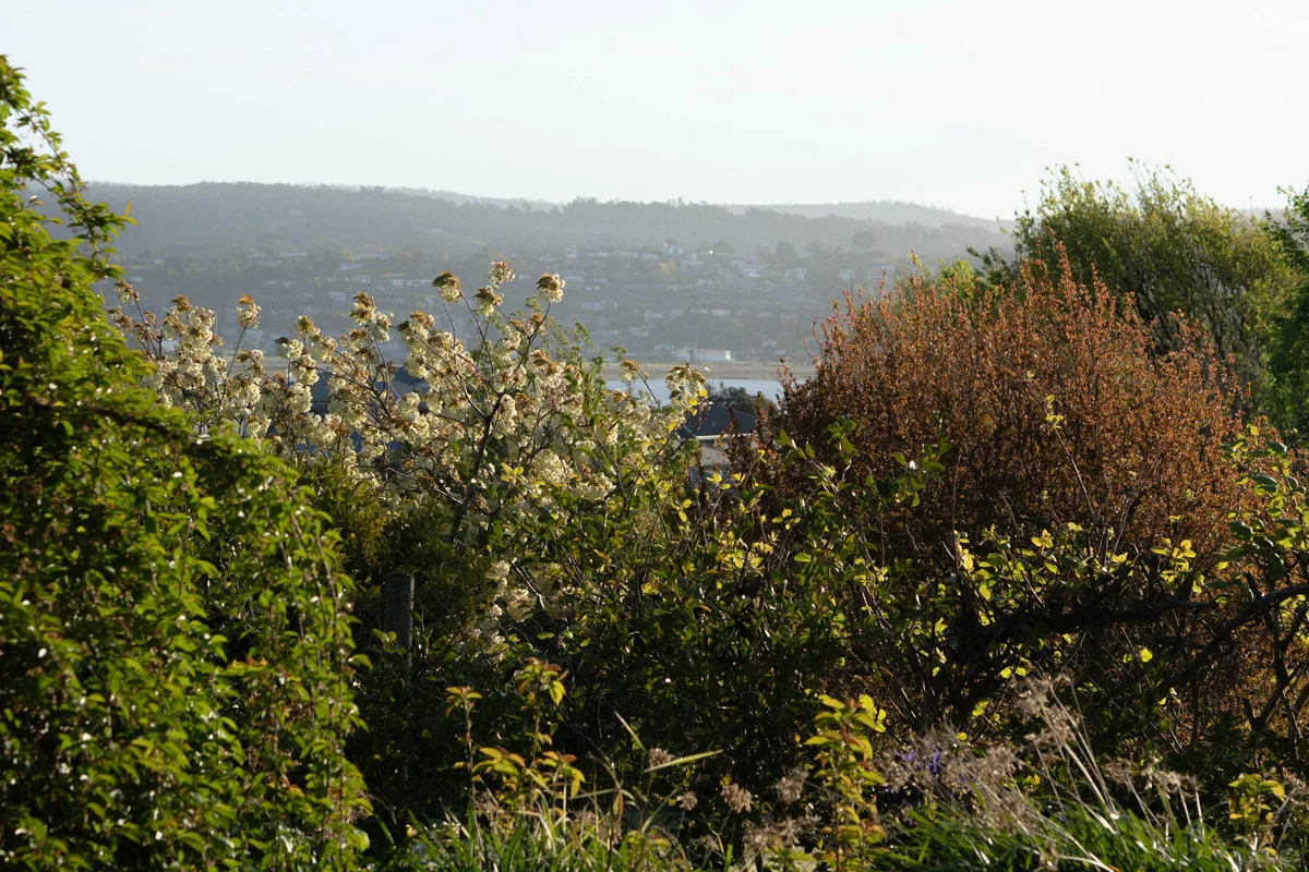 Image 28