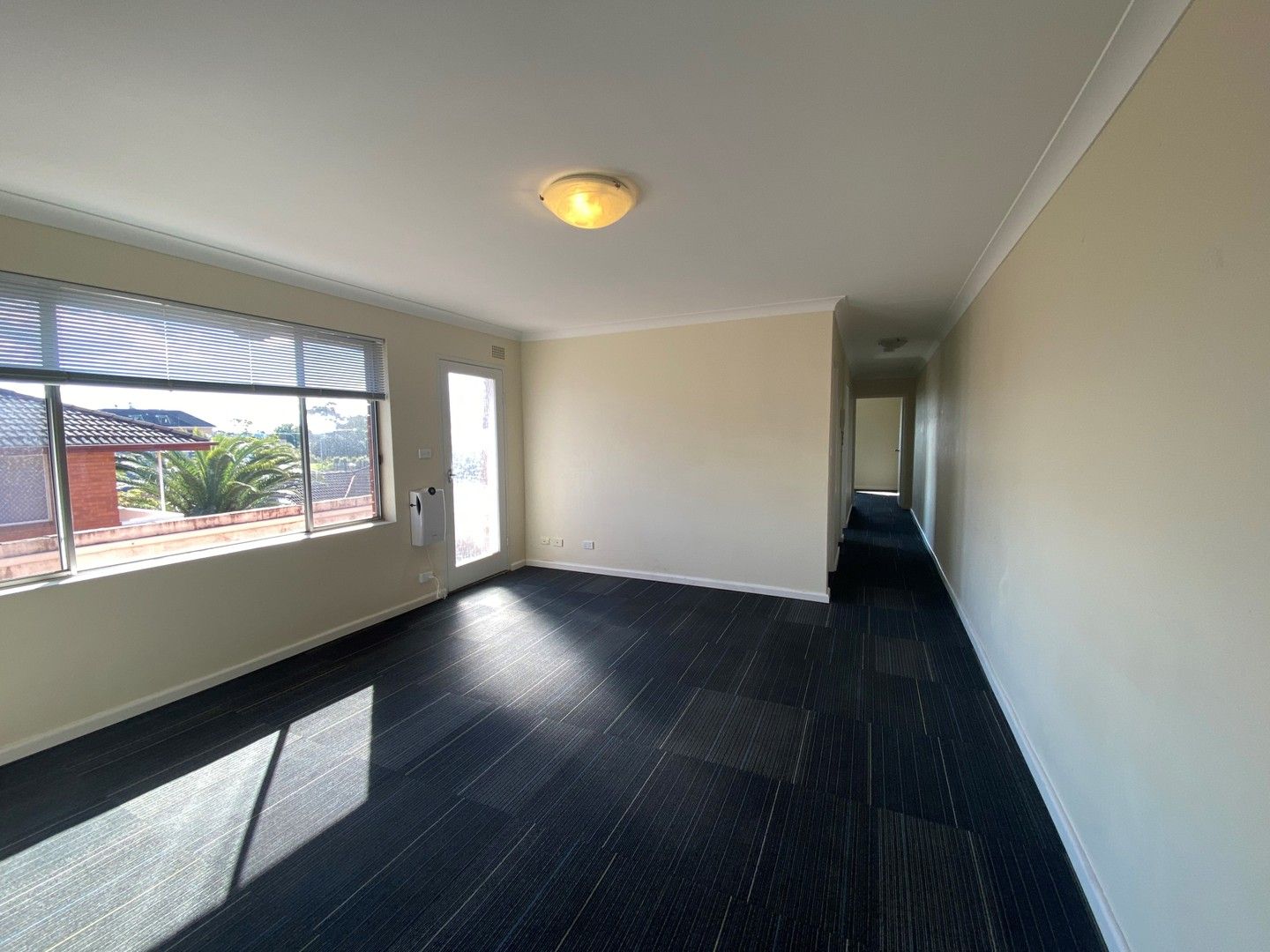 8/19 Loftus Street, Ashfield NSW 2131 Apartment For Rent Domain