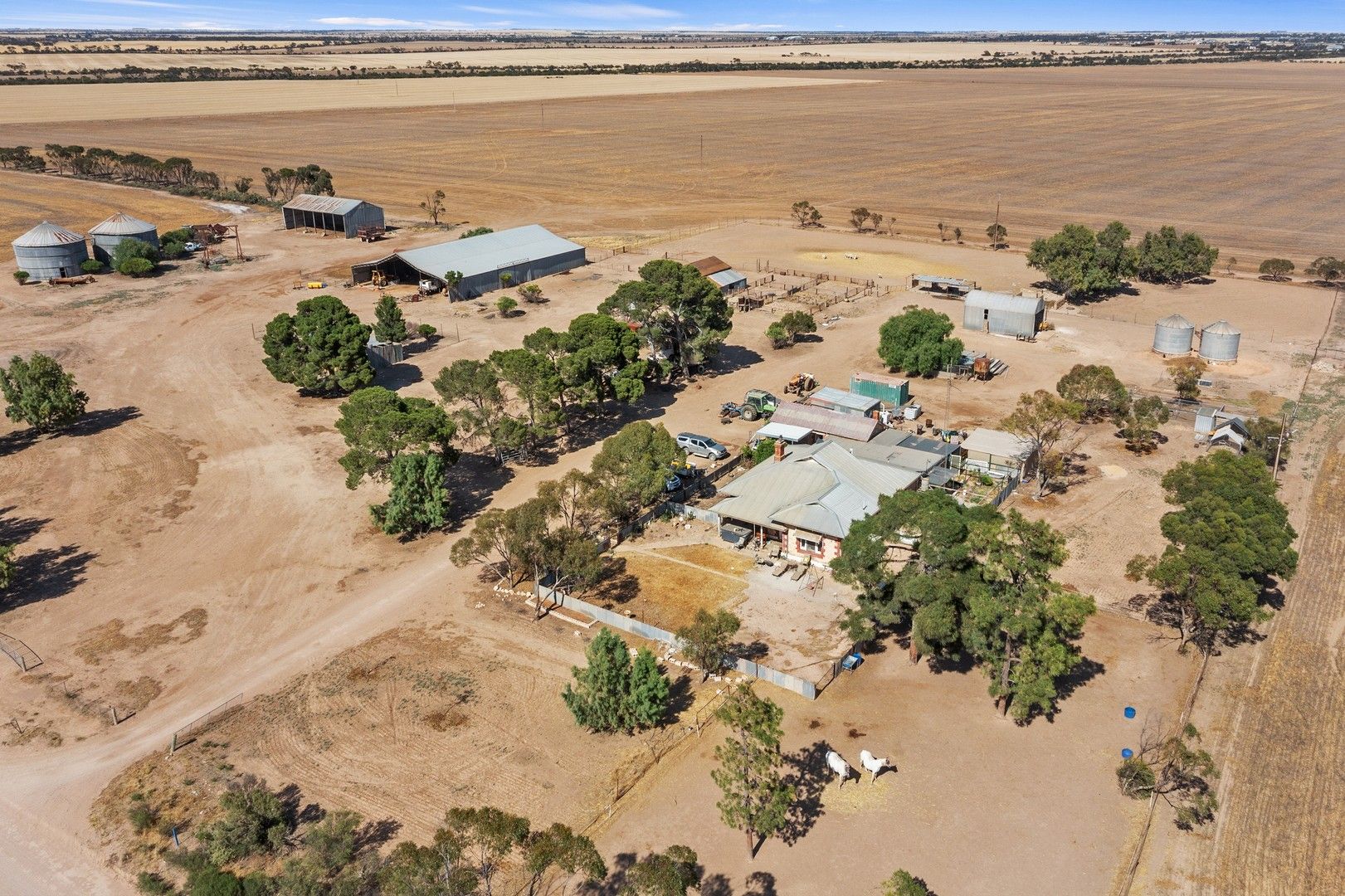 117 Beare Road, Kadina SA 5554, Image 2