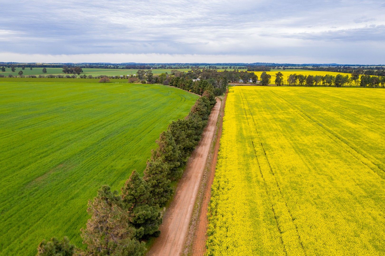 208 Roping Pole Road, Ganmain NSW 2702, Image 0