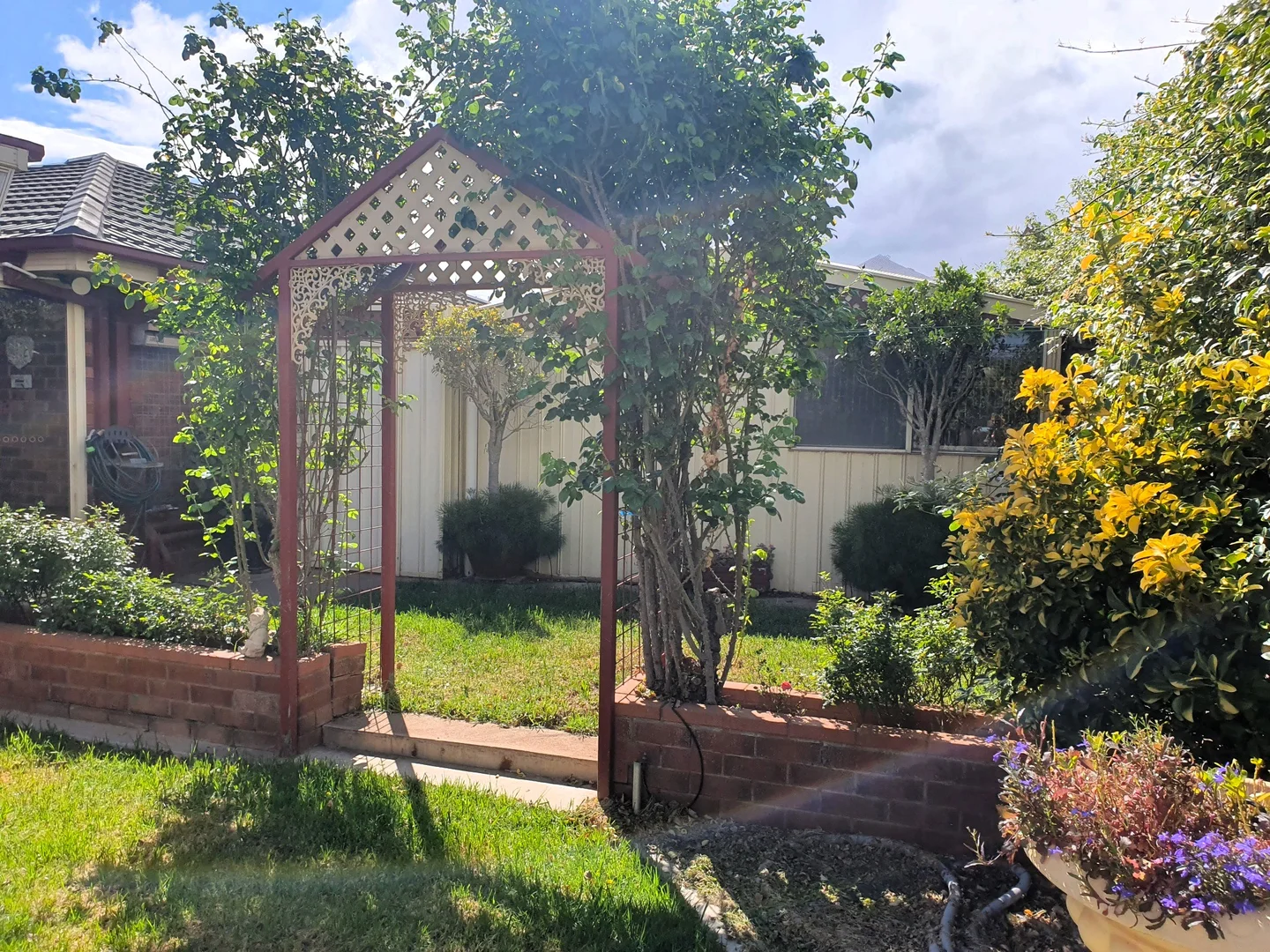 Image 25