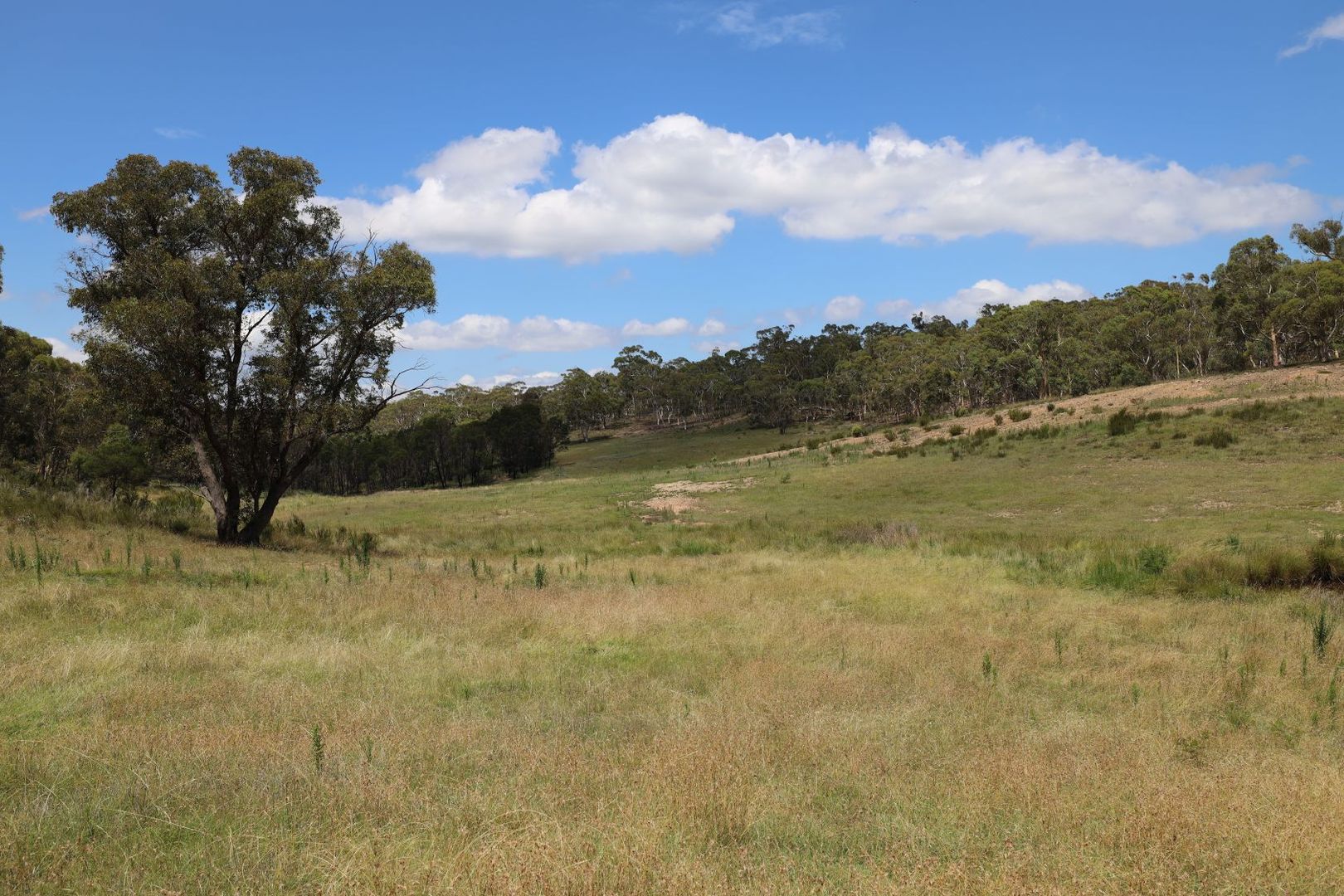 Oallen Road, Nerriga NSW 2622, Image 2