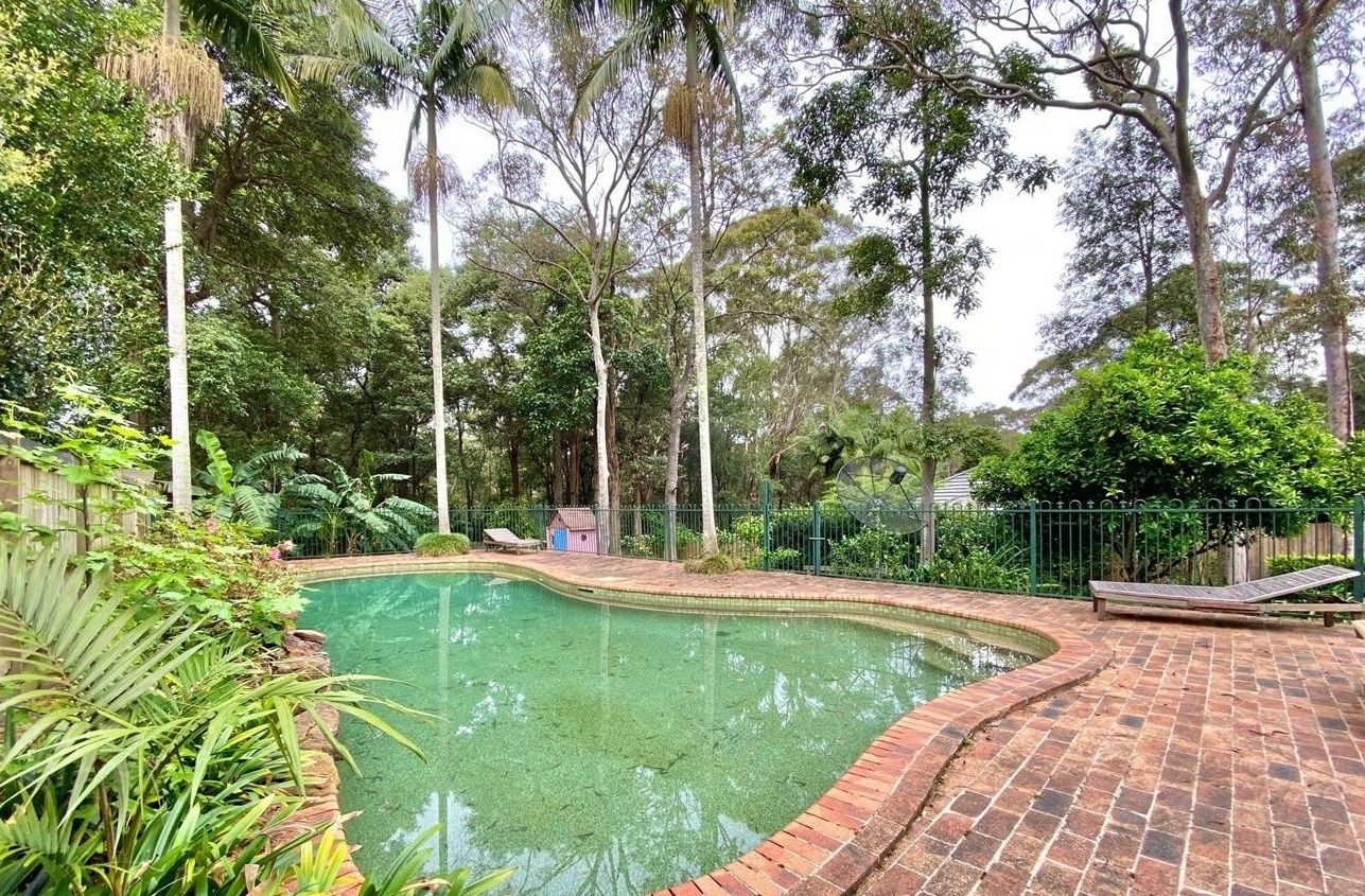 152 Burns Road, Turramurra NSW 2074 House For Rent Domain