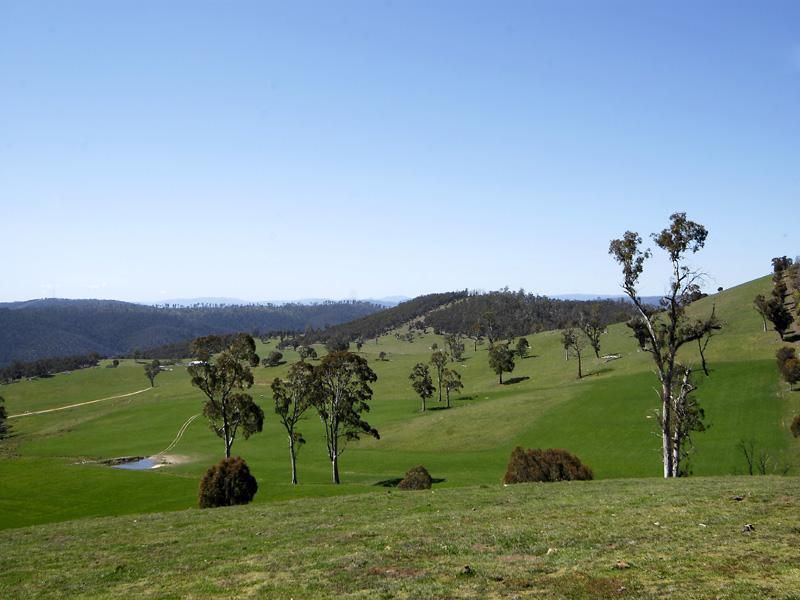 Lot 3/227 High Forest Road, Mt Maid, OMEO VIC 3898, Image 1