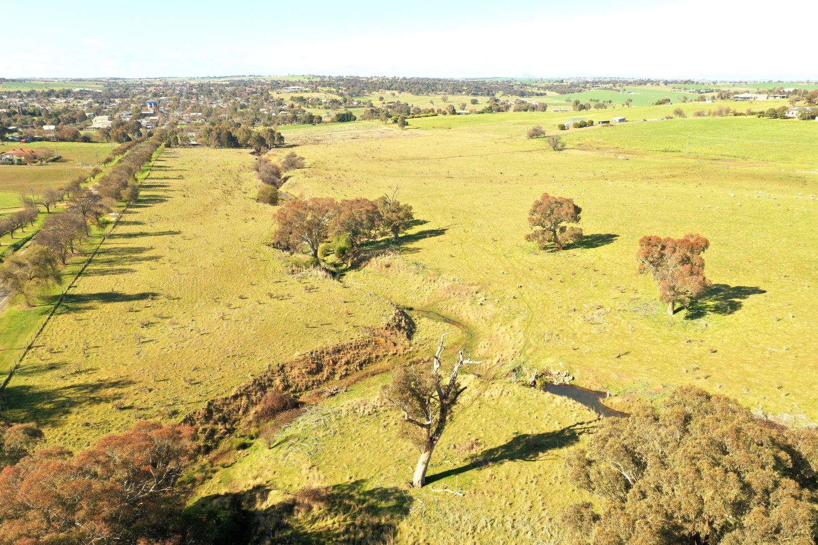 Lot 255, 256 & 257 Araluen Road, Murrumburrah NSW 2587 Domain
