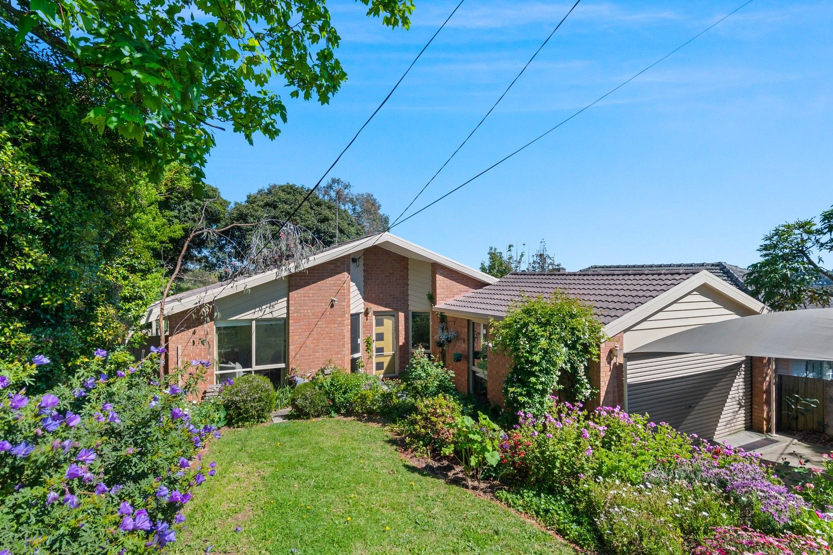 4 bedrooms House in 39 Velma Grove RINGWOOD EAST VIC, 3135