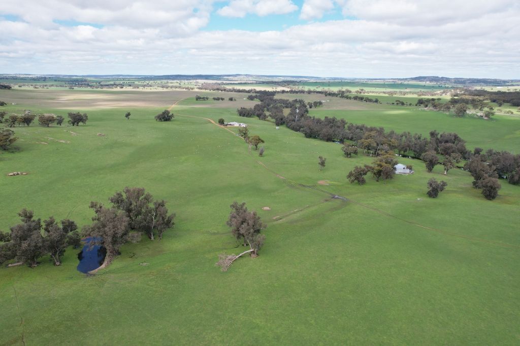 870 South Dale Road, Jelcobine WA 6306, Image 0