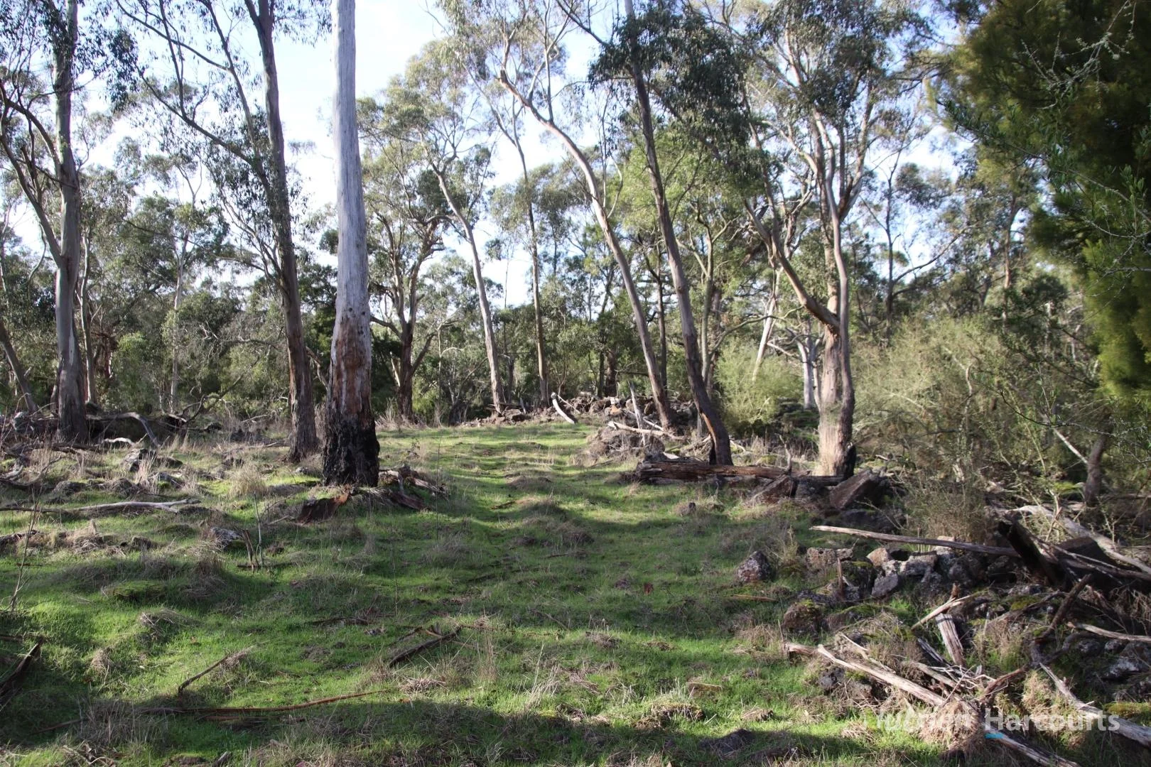 Image 8