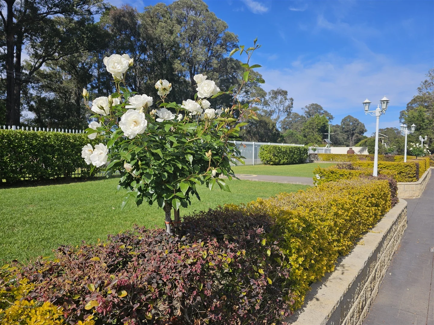Image 6