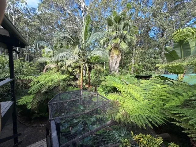 Image 11