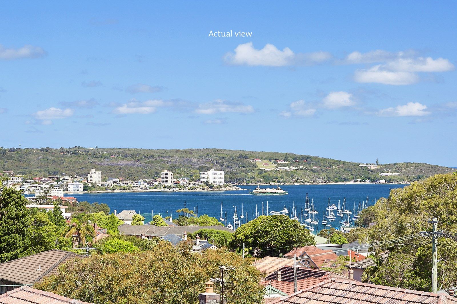 185 Woodland Street, Balgowlah NSW 2093, Image 1