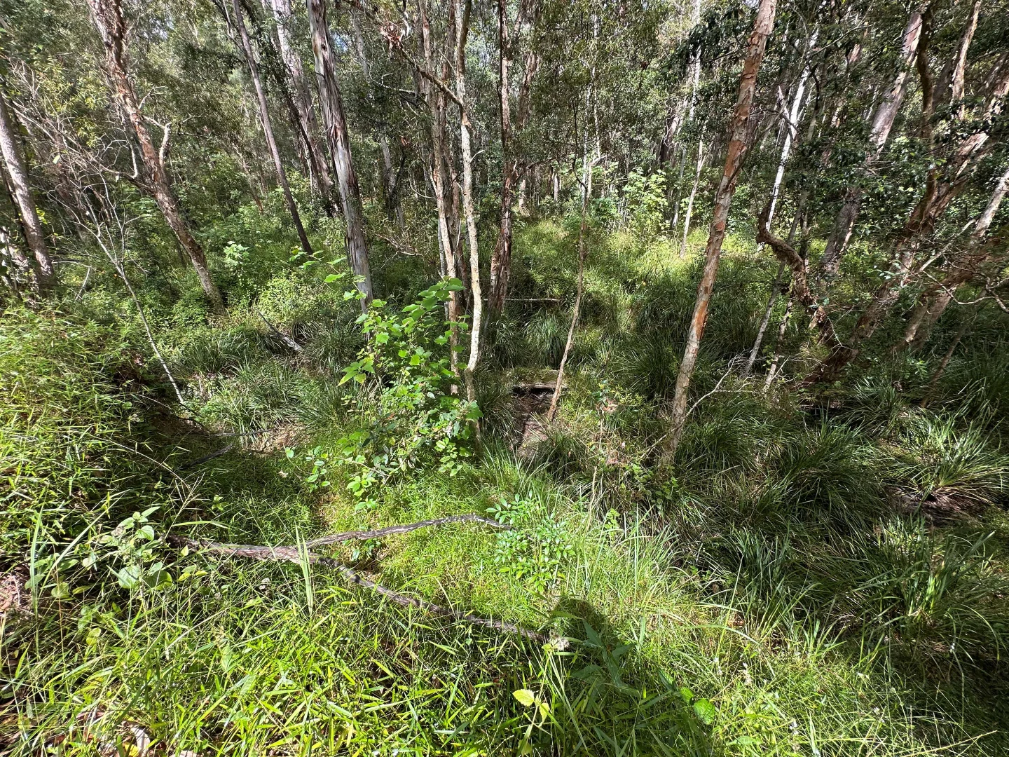 Image 8