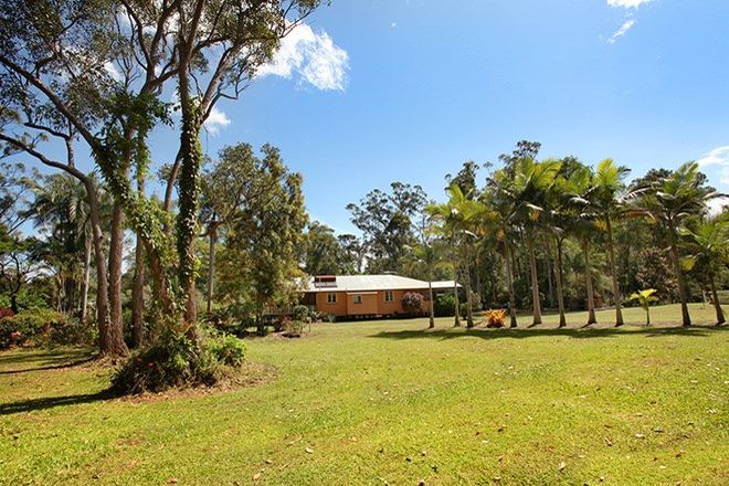 Picture of 69 Eudlo Flats Road, DIDDILLIBAH QLD 4559