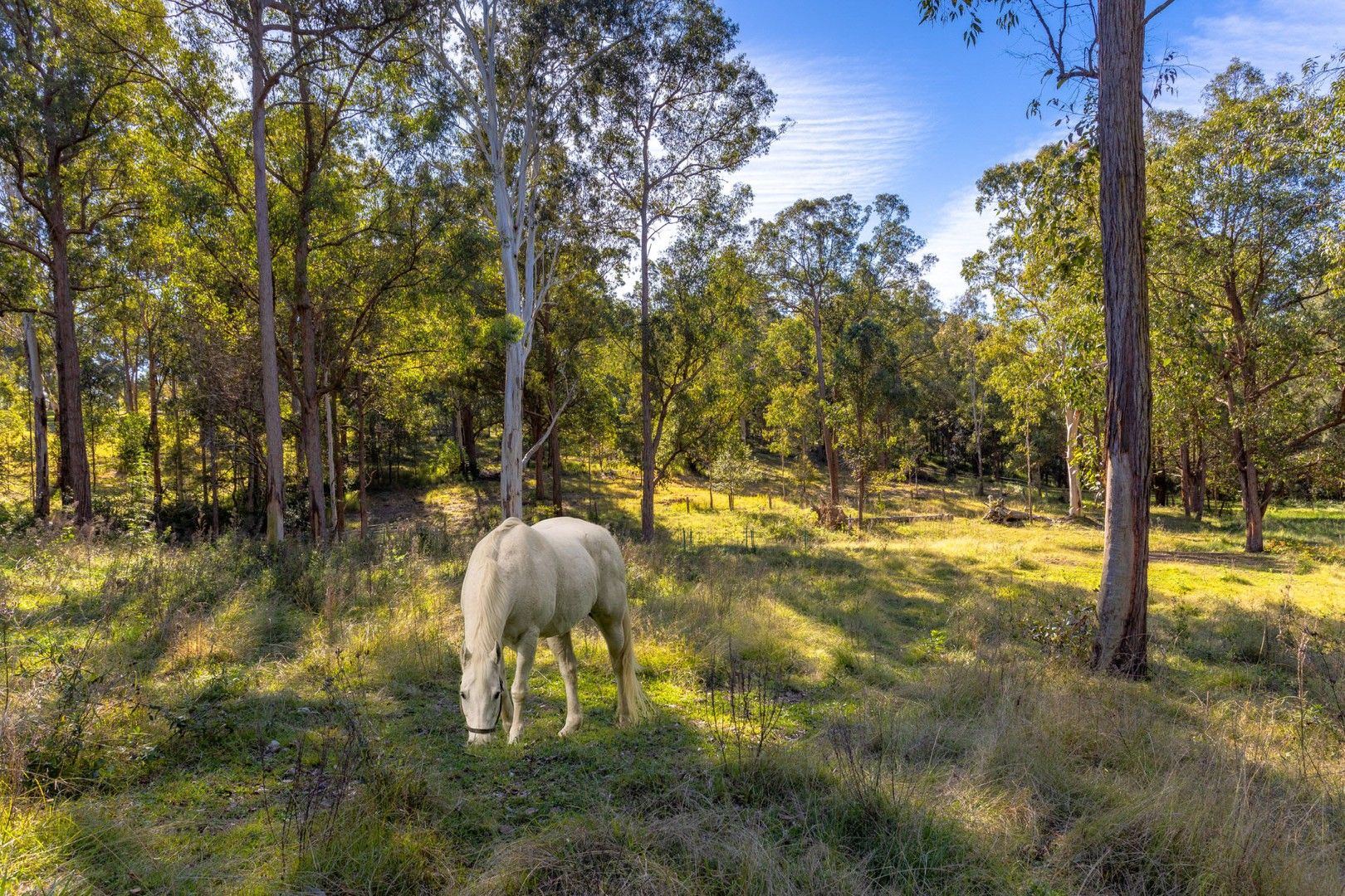 18 Kingfisher Drive, Wingham NSW 2429, Image 2