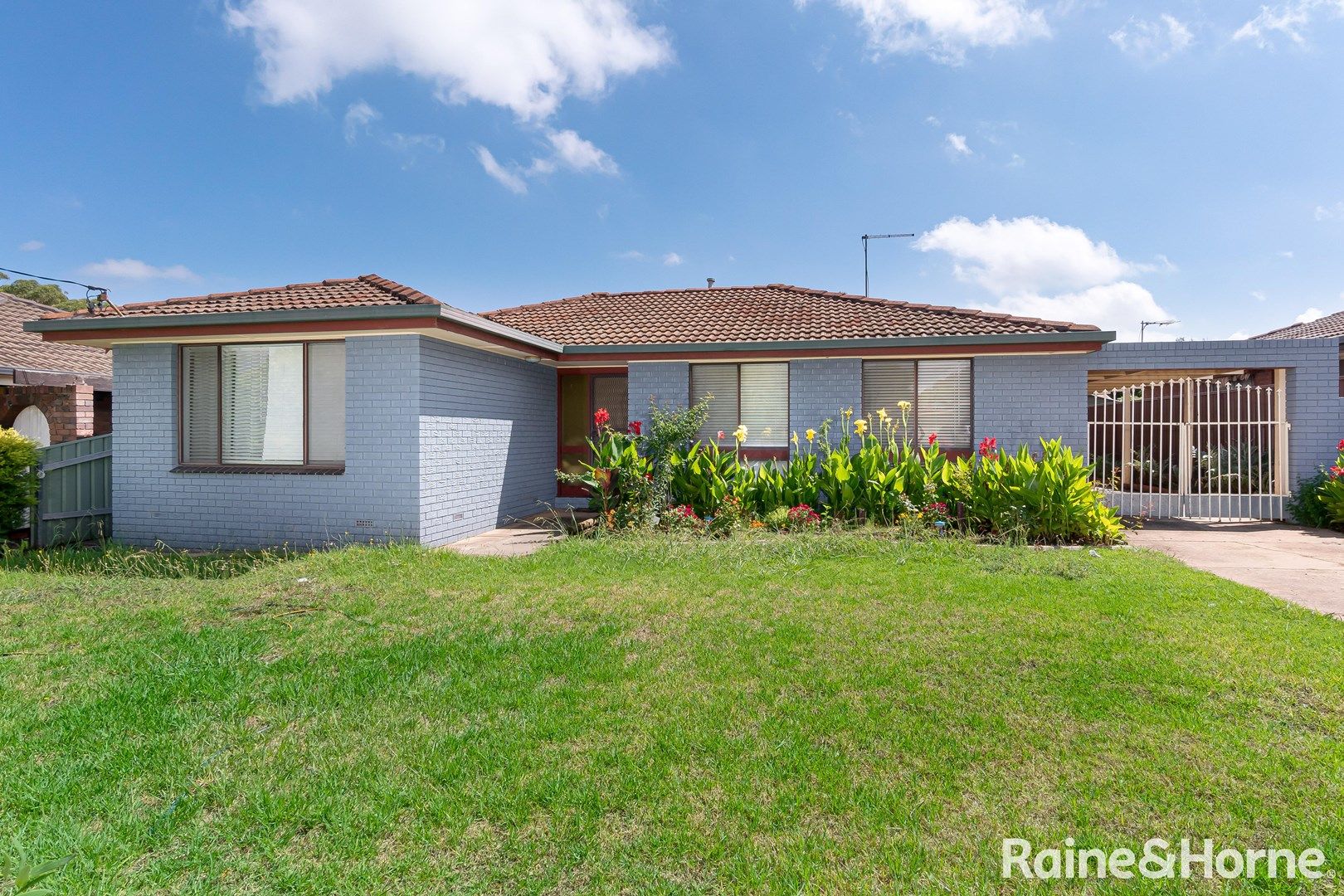 43 Crawford Street, Ashmont NSW 2650, Image 0