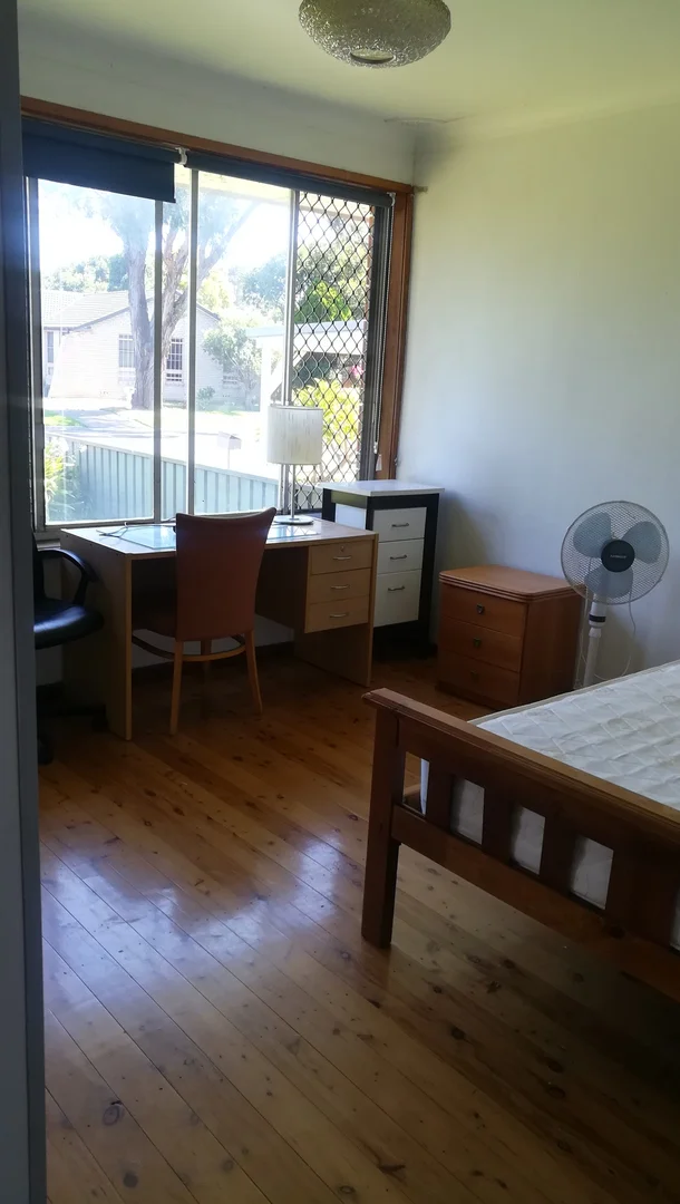 Additional image 4 of 62 Cameron Street, Jesmond NSW 2299