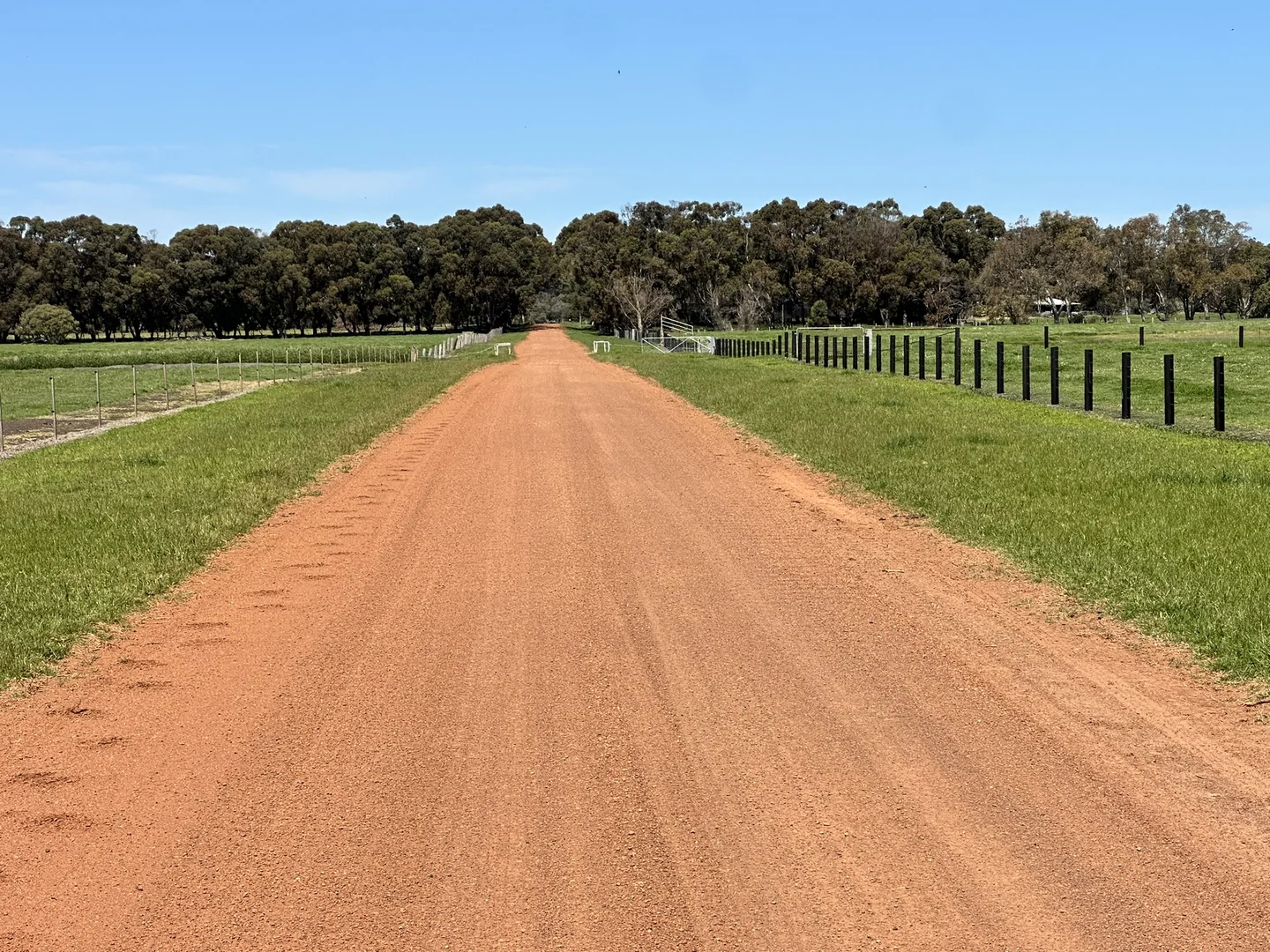 Image 25