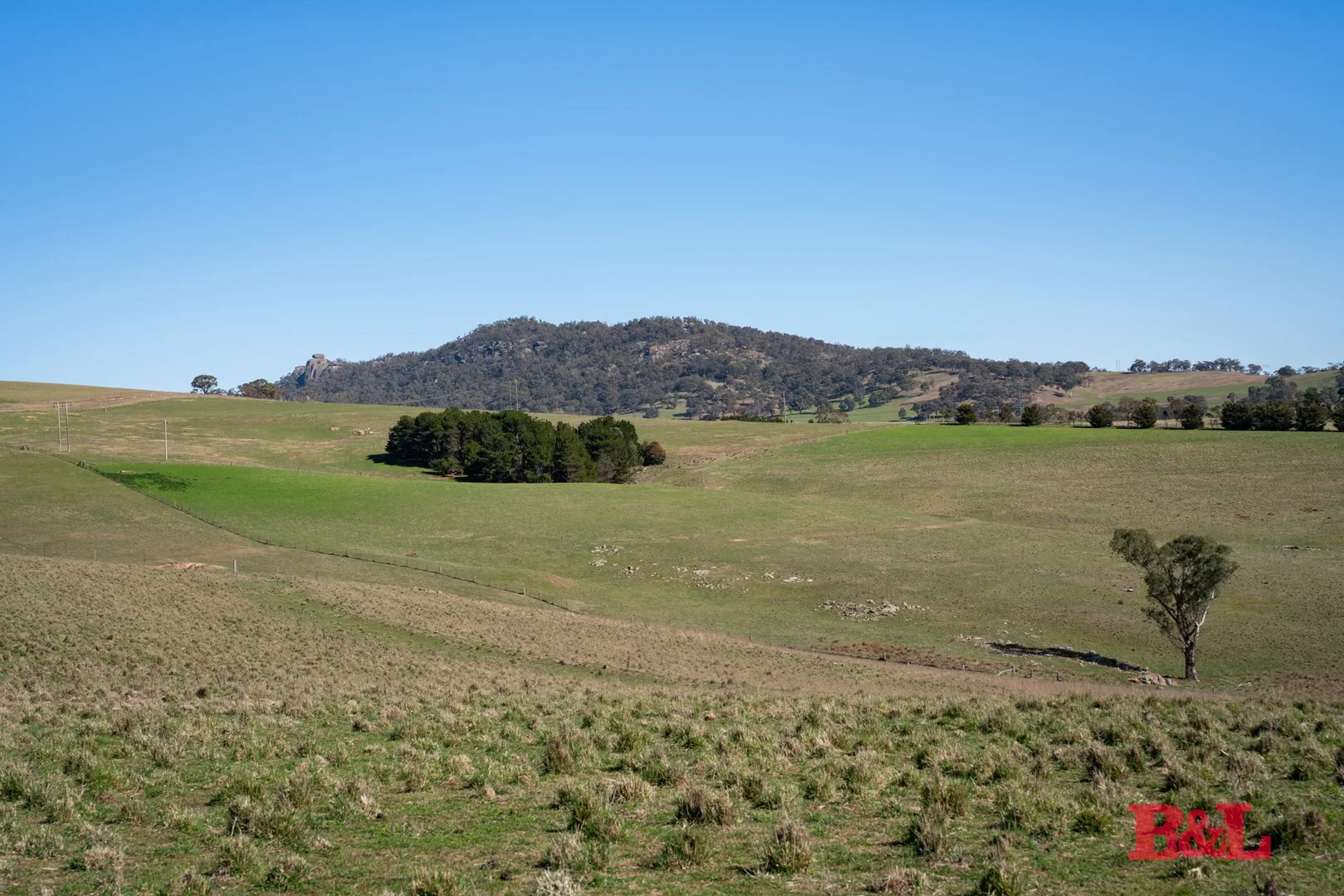 Image 26