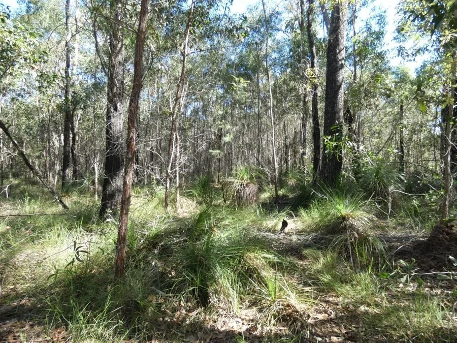 Additional image 29 of 960 Pacific Drive, Deepwater QLD 4674