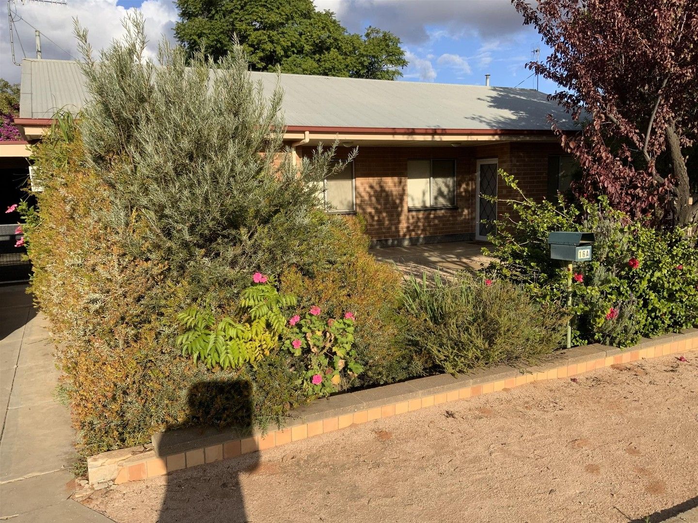 2 bedrooms House in 16A Sultana Street BERRI SA, 5343