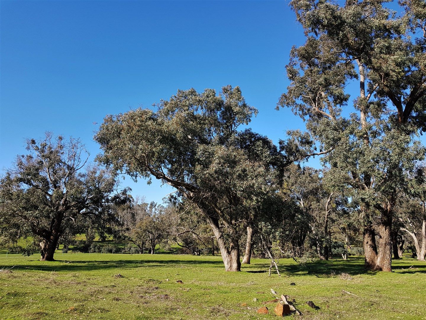 72 Lot 316 Kaufmann Close, Boyup Brook WA 6244, Image 2