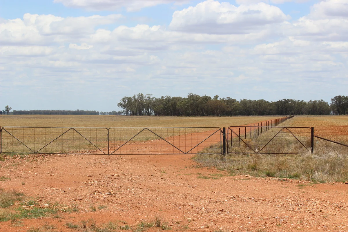 Image 7