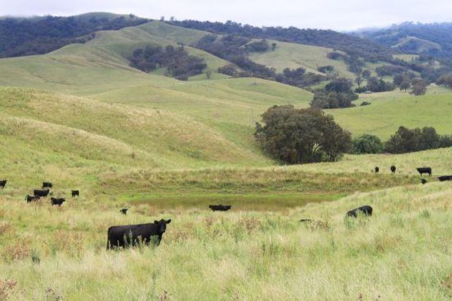 Picture of 1 One Tree, TIMOR NSW 2338