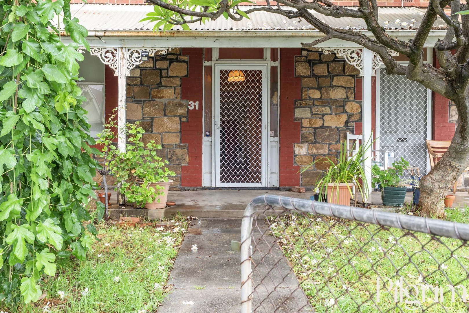 31 Cassie Street, Collinswood SA 5081