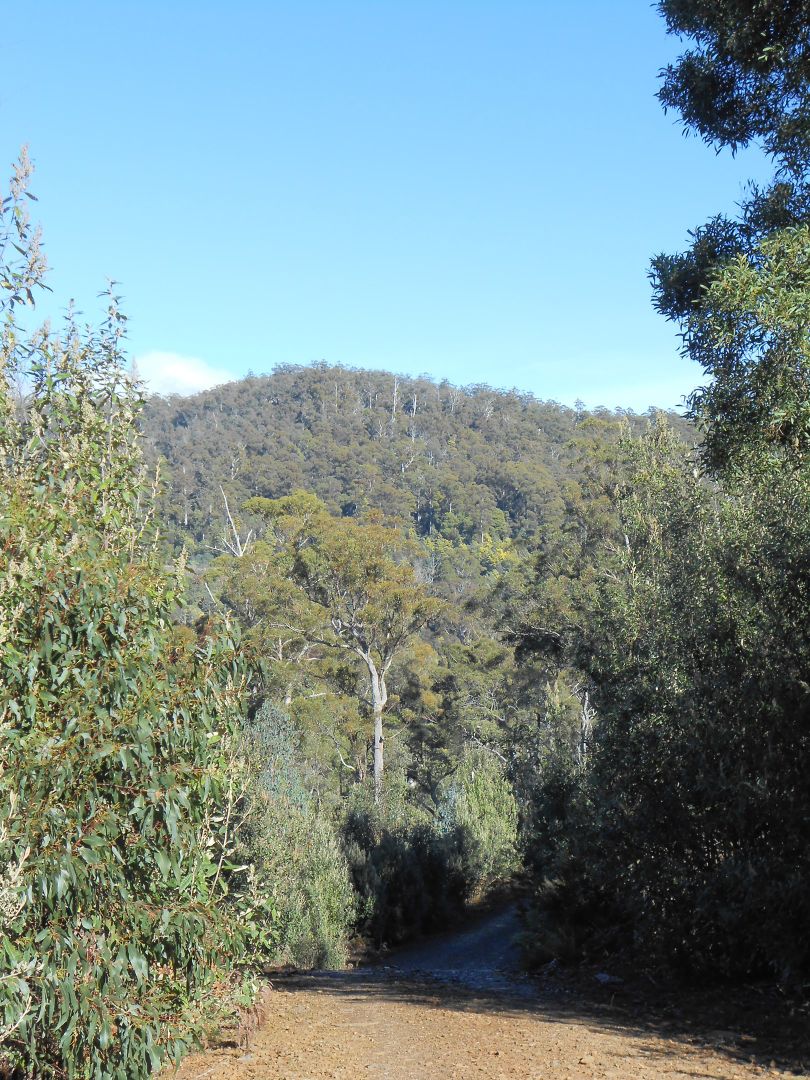 Lot 1 Myrtle Creek Road, Liffey TAS 7301, Image 2