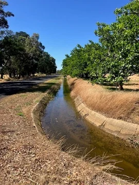 Image 19