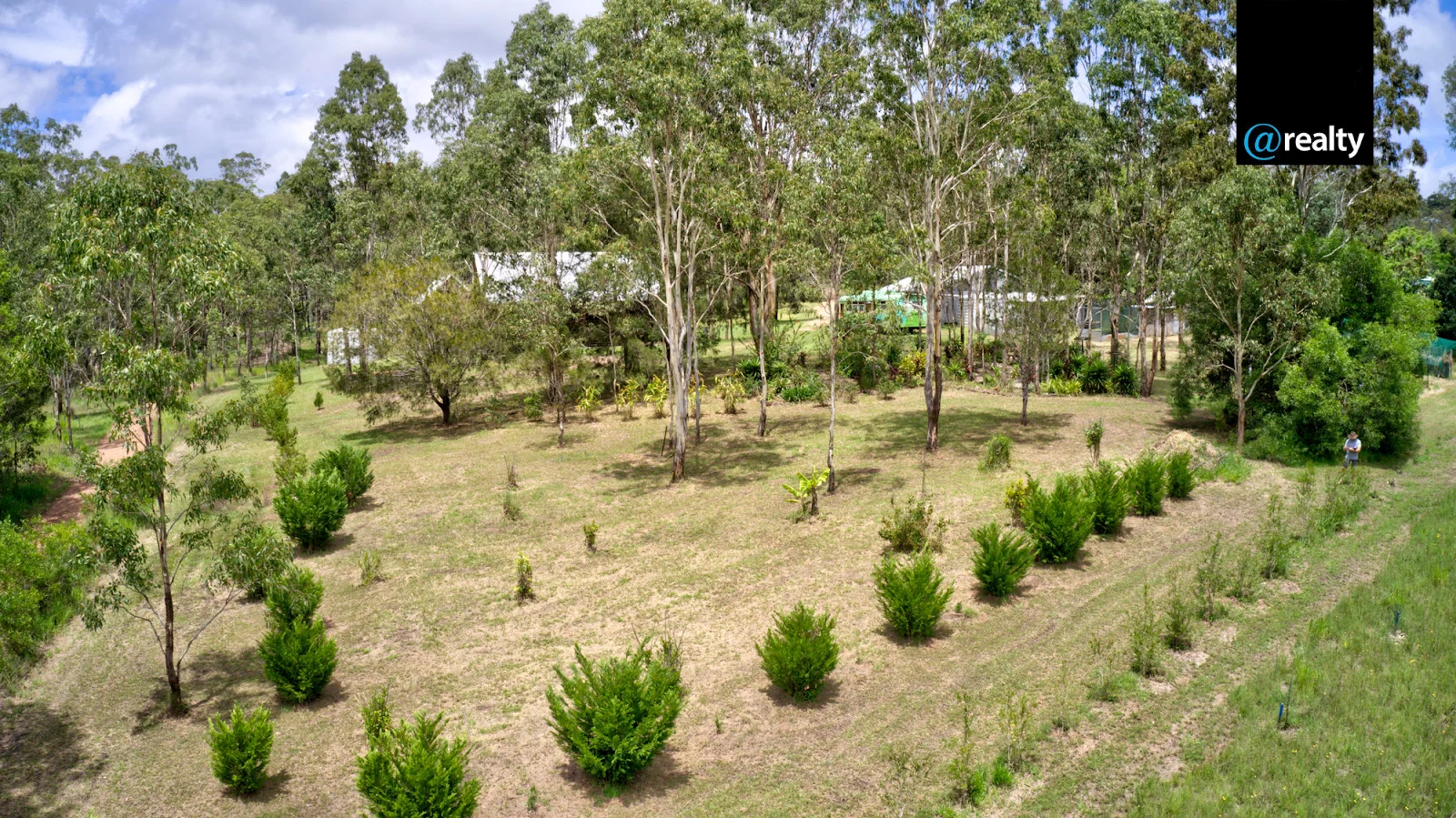 Image 81