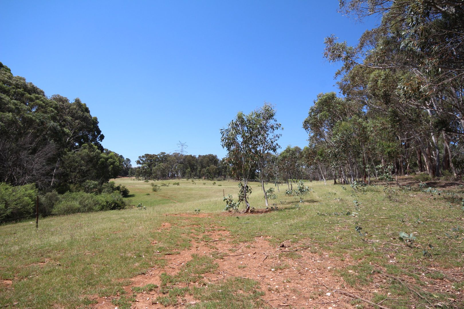 225 Felled Timber Road, Porters Retreat Property History & Address