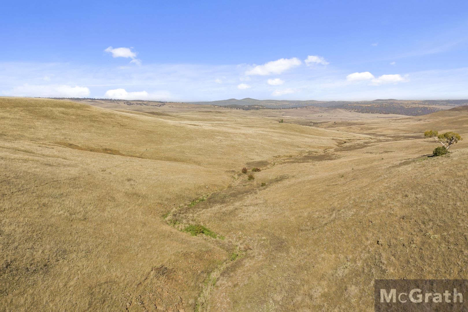 001 The Snowy River Way Way, Bungarby NSW 2630, Image 2