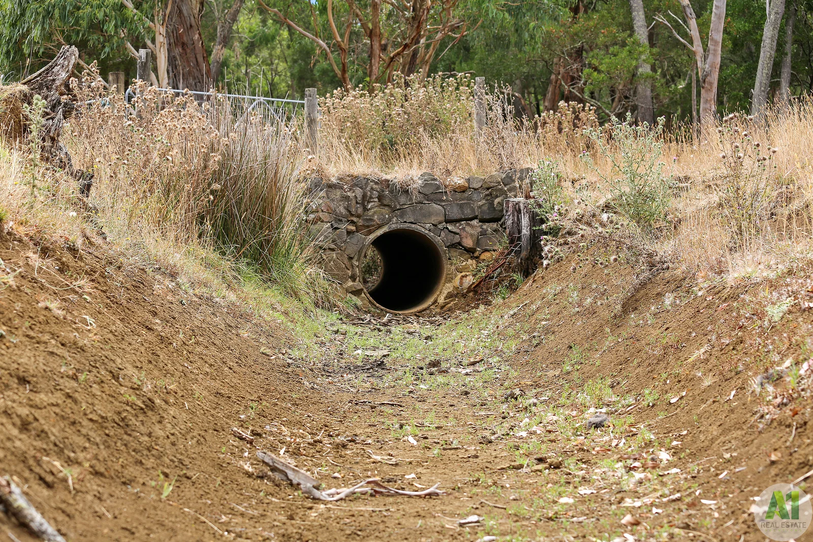 Image 12