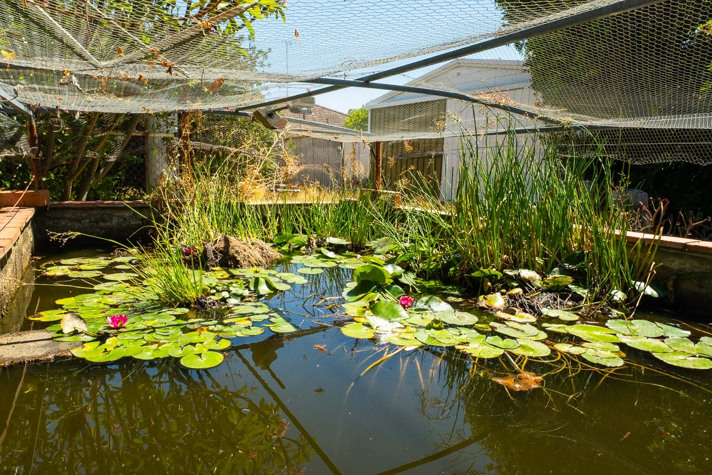 Additional image 13 of 6 South Street, North Dandalup WA 6207