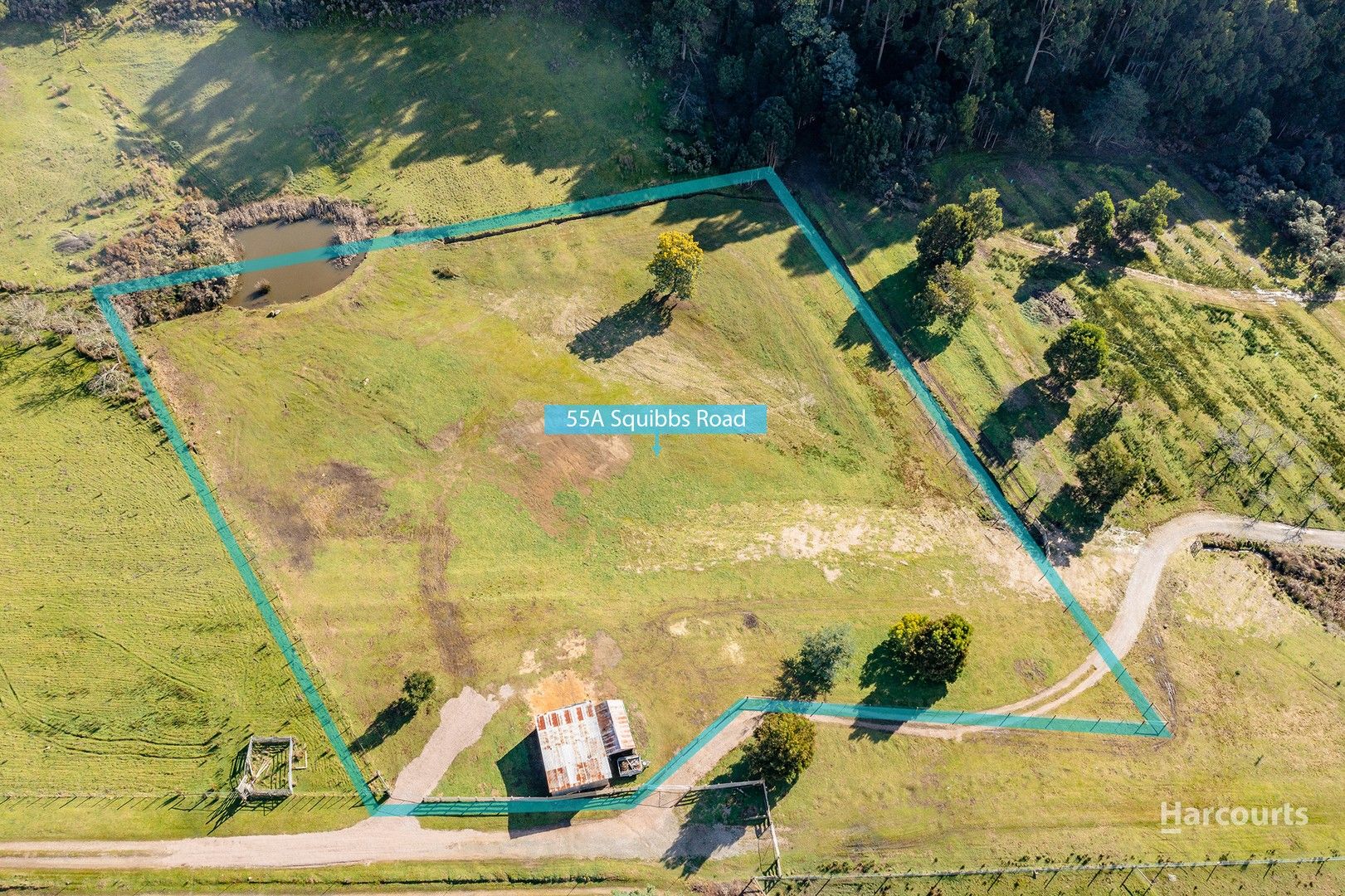 55A Squibbs Road, Spreyton TAS 7310 Domain