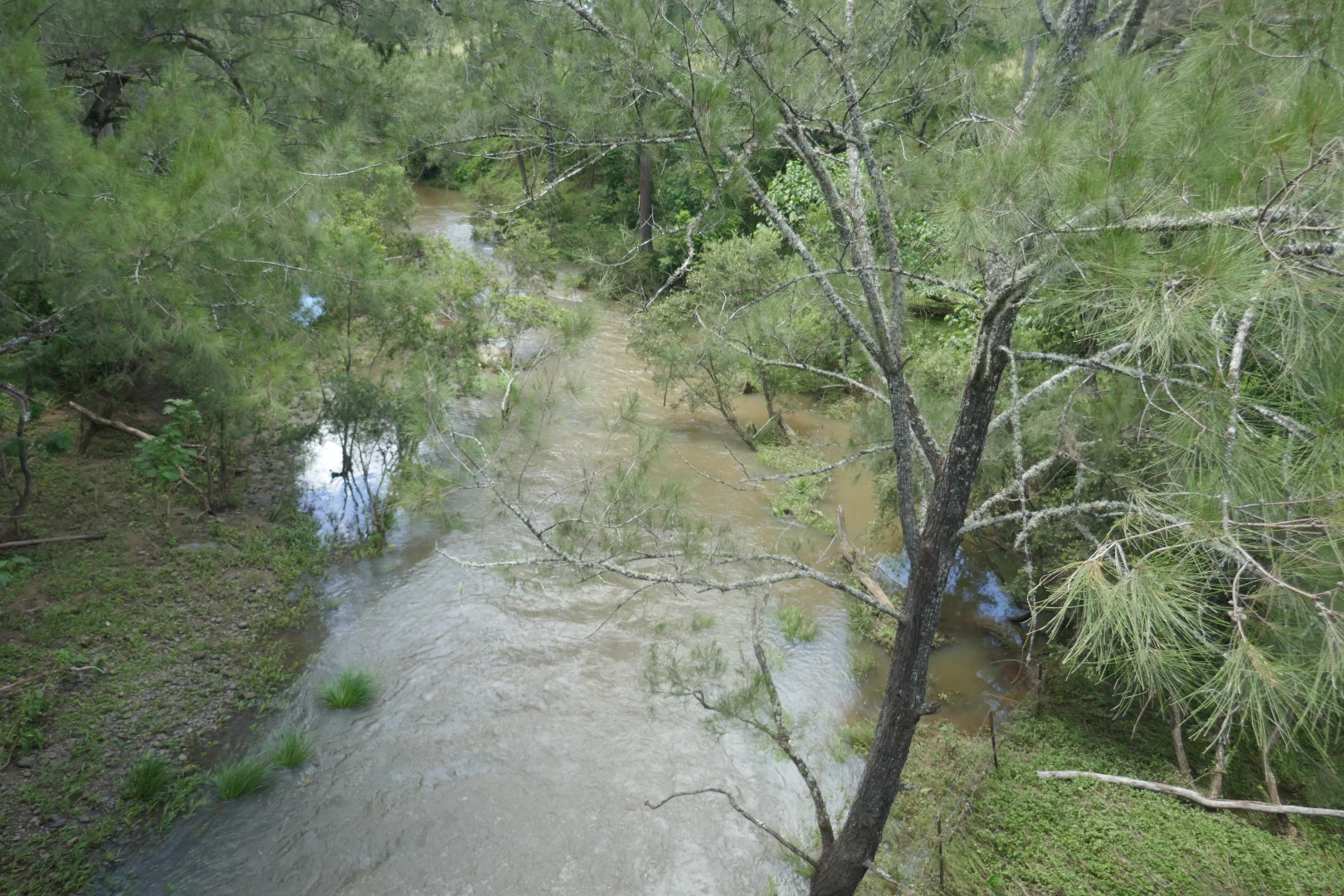 Image 14