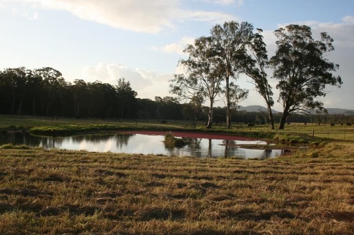 Lot 442,/788 Limeburners Creek Road, CLARENCE TOWN NSW 2321, Image 1