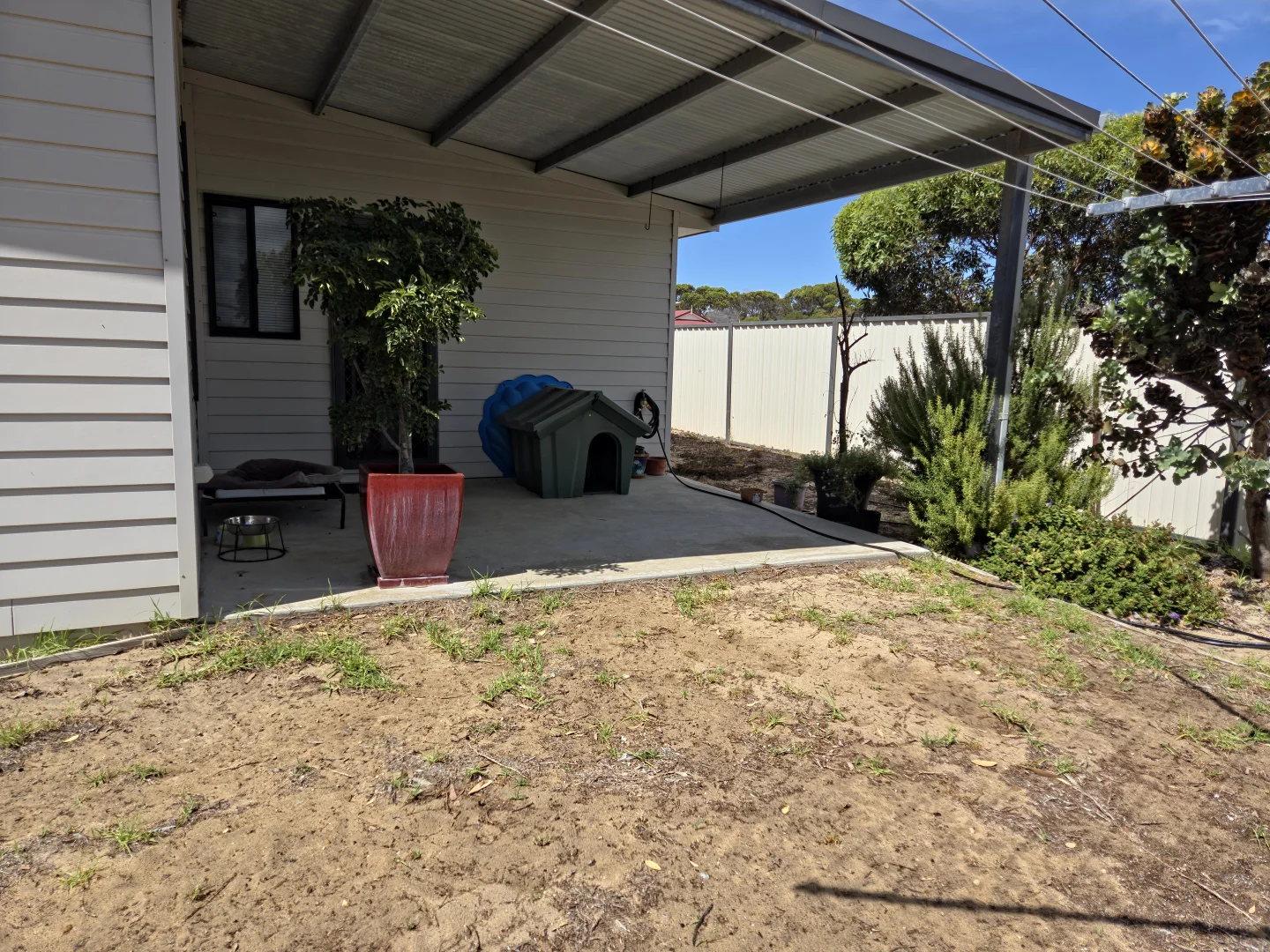 Image 41