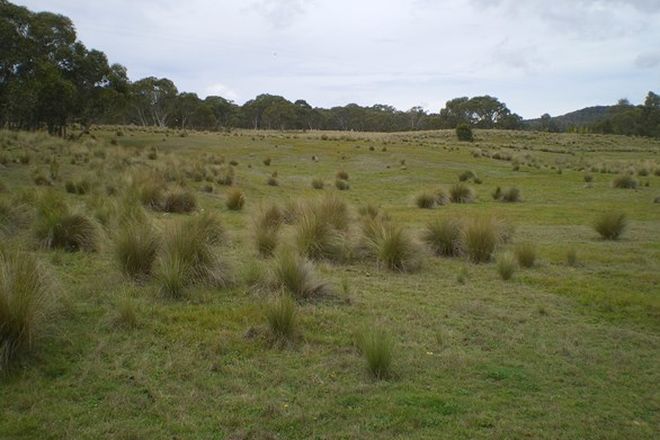 Picture of Fernhill Badja Forest Road, COUNTEGANY NSW 2630