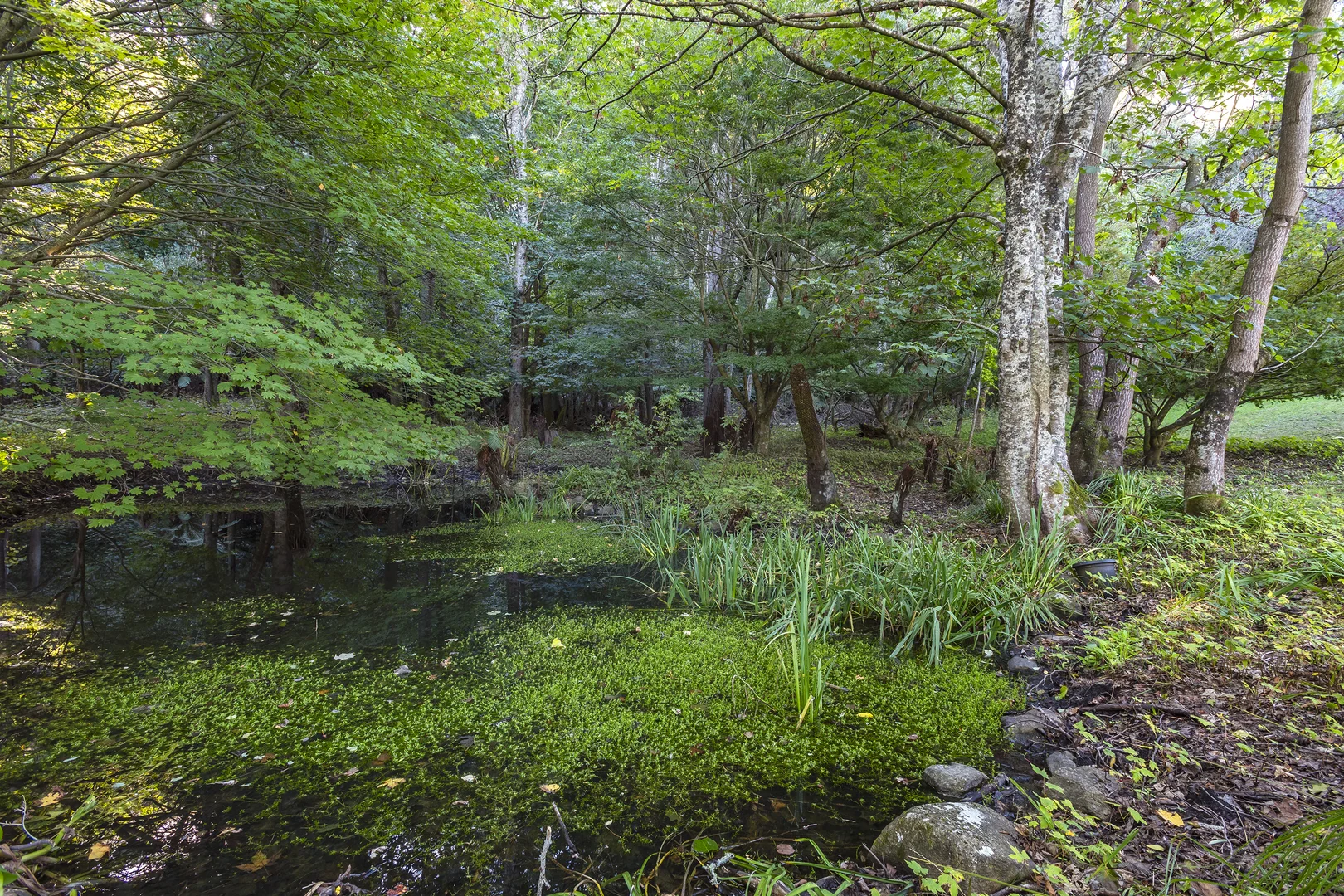 Additional image 38 of 165 Zig Zag Road, Mount Macedon VIC 3441