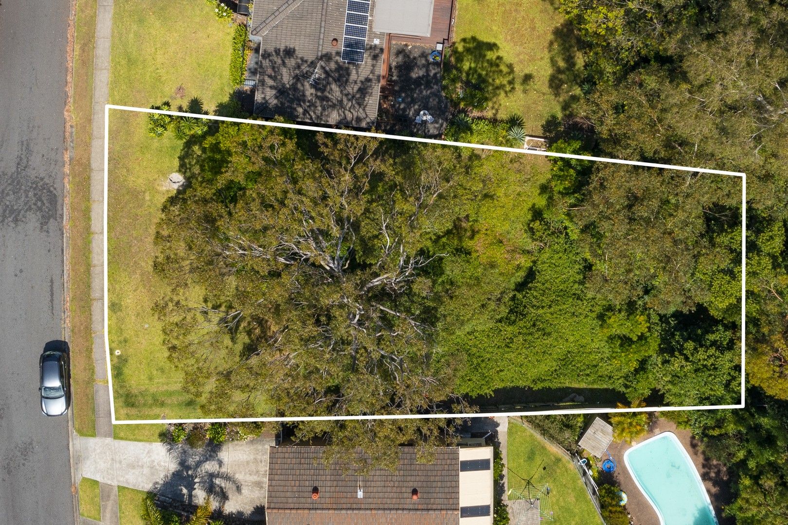 8 Bowness Street, New Lambton Heights NSW 2305 Domain