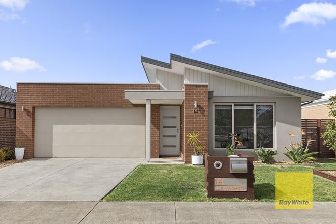 Picture of 14 Flanagan Close, ARMSTRONG CREEK VIC 3217