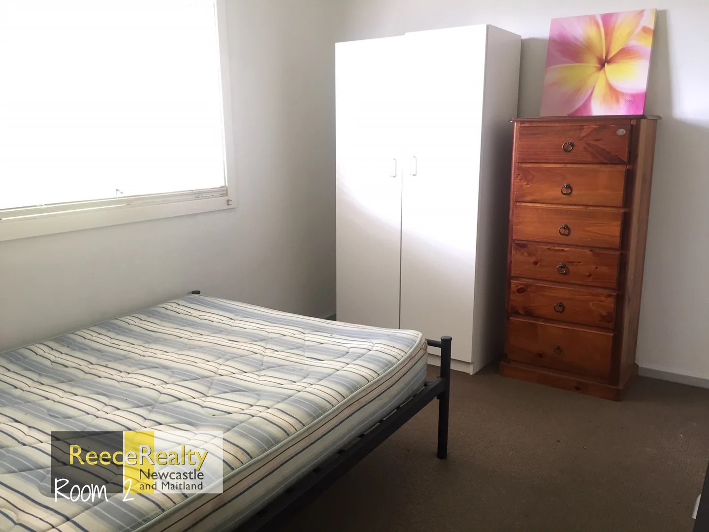 Additional image 5 of 11 Jacknorman Street, Waratah West NSW 2298