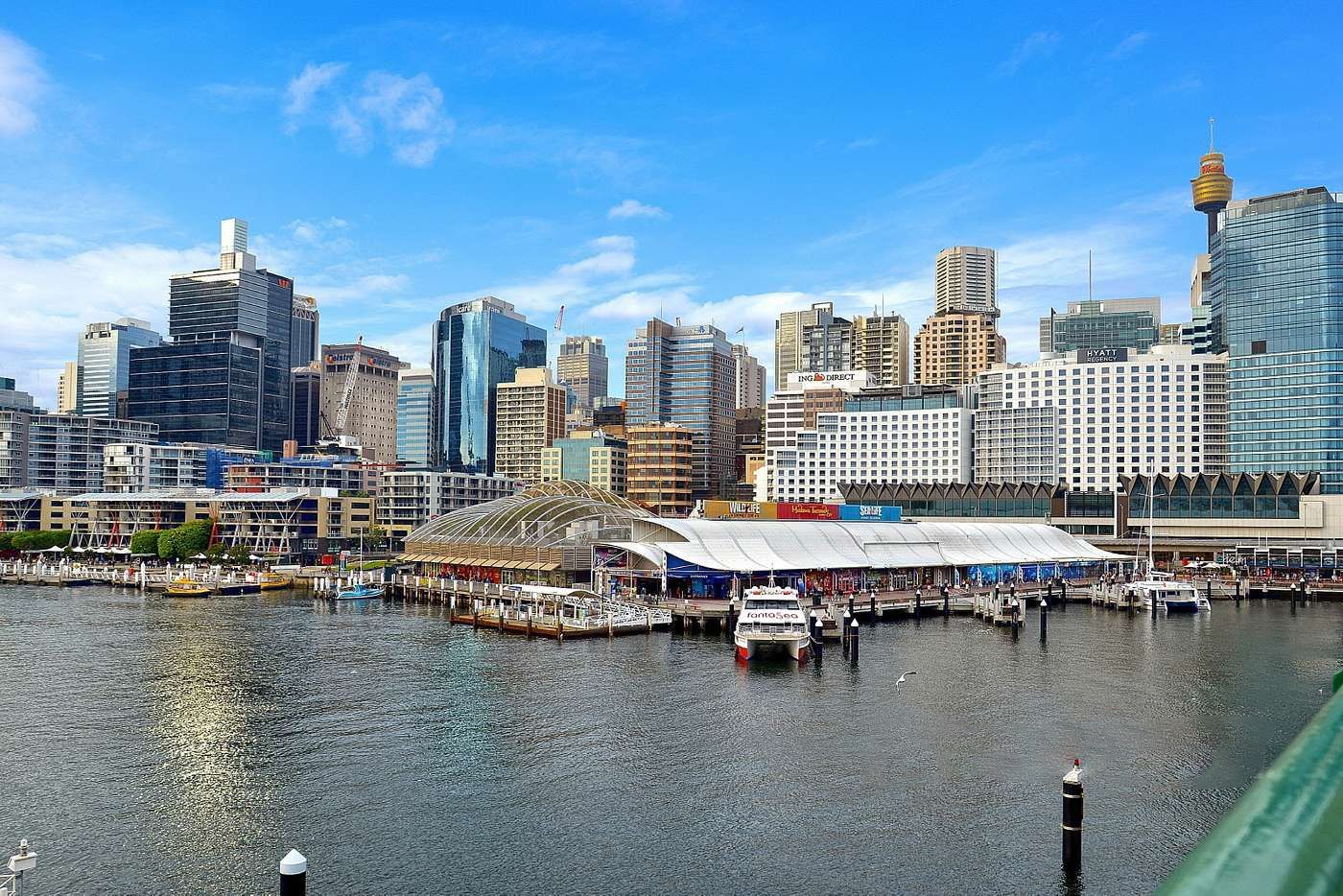 1 bedrooms Apartment / Unit / Flat in 142B/361 Kent Street SYDNEY NSW, 2000